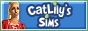 S2banner-catlilyssims.jpeg