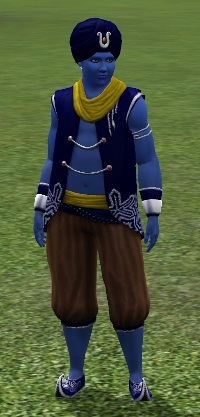 the sims medieval find the genie