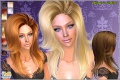 Thumbnail for version as of 06:49, 18 July 2009