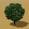Thumbnail for version as of 08:48, 22 May 2024