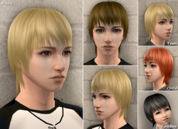 Raonsims M FreeHair 11.jpg