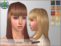 Thumbnail for version as of 03:13, 14 December 2008