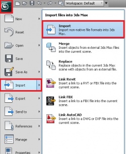 Import 3Ds Max.jpg
