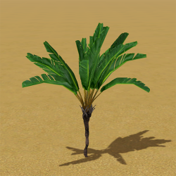 CAW trees bird of paradise IP.png