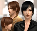 Thumbnail for version as of 06:17, 30 December 2008