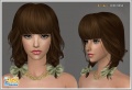 Thumbnail for version as of 03:24, 18 March 2009
