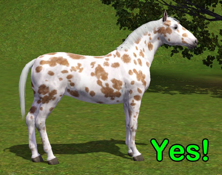 File:TS3Pet example sideYES.jpg