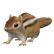 RodentChipmunk.png