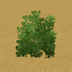 CAWContentList shrubs huckleberry bush ep07.png