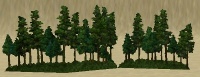 ContentListsCAWtree panoramic a.jpg