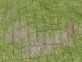 Bmt thumb w-f smoothterrain.jpg