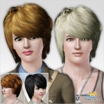 Peggyzone-sims3-DONATE-Mfhair0104-1-b.jpg