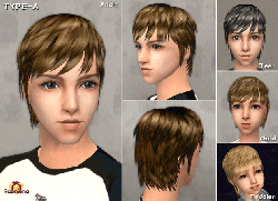 Raonsims M PayHair 05.gif