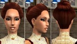 Sussi F GibsonGirlHair.jpg