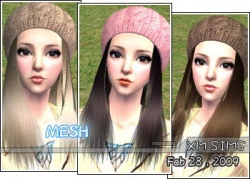 Sue-xms mesh hair20090207.jpg