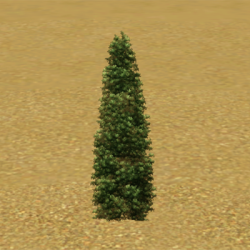 CAWContentList shrubs aerial holly tree ep11.png