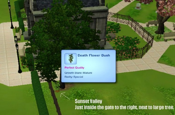 Game Help Sims 3 Skills Gardening Death Flower Simswiki
