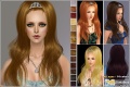 Thumbnail for version as of 01:30, 19 December 2008