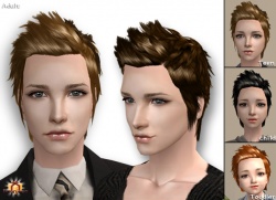 Raonsims M PayHair 18.jpg