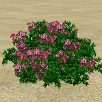 ContentListsCAWplant azalea-pink.jpg