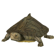 TurtleBarboursMap.png