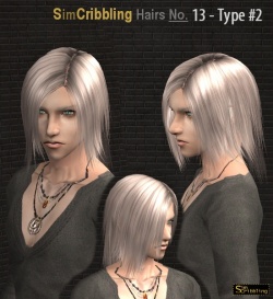 Ren M Silky4.jpg