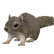 RodentSquirrel.png