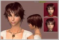Thumbnail for version as of 21:50, 26 November 2007