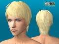Thumbnail for version as of 01:54, 18 March 2009