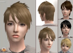 Raonsims M PayHair 17.jpg