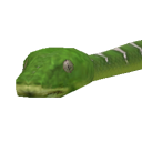 SnakeEmeraldTeaBoa.png