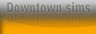 S2banner-downtownsims.jpeg