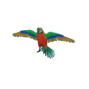 BirdCatalinaMacaw.png