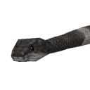 SnakeMalayanKrait.png