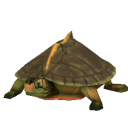 TurtleIndianRoofed.png