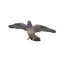 BirdPidgeon.png