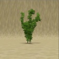 Thumbnail for version as of 09:32, 31 October 2011