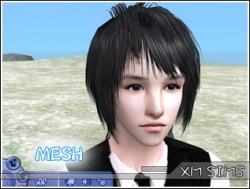 MESH NiuTR hair01.jpg