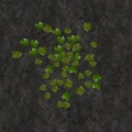 Thumbnail for version as of 08:14, 31 October 2011