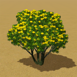 CAW trees yellow rhododendron IP.png