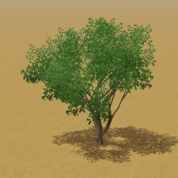 CAW trees cotton olive SN.png