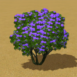CAW trees purple rhododendron IP.png