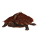 TurtleSpiny.png