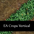 Thumbnail for version as of 13:29, 22 October 2011