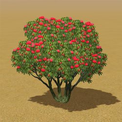 CAW trees rhododendron IP.png