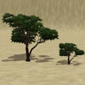 Thumbnail for version as of 09:35, 31 October 2011