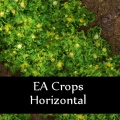 Thumbnail for version as of 13:23, 22 October 2011