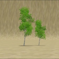 ContentListsCAWtree aspen.jpg